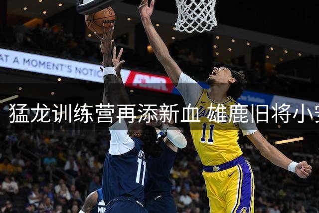 猛龙训练营再添新血 雄鹿旧将小安德烈-杰克逊加盟争夺最终名额