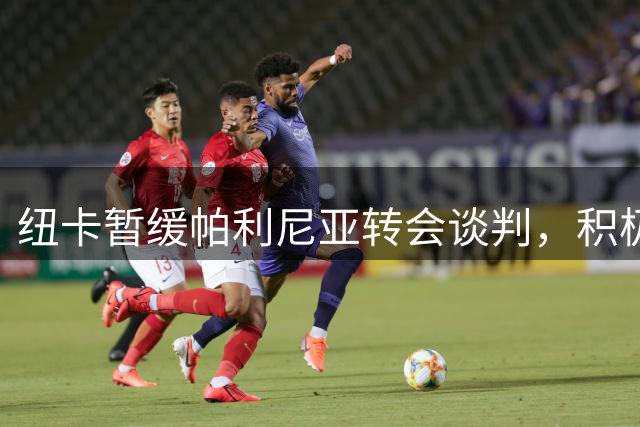 纽卡暂缓帕利尼亚转会谈判，积极寻求中场替代人选