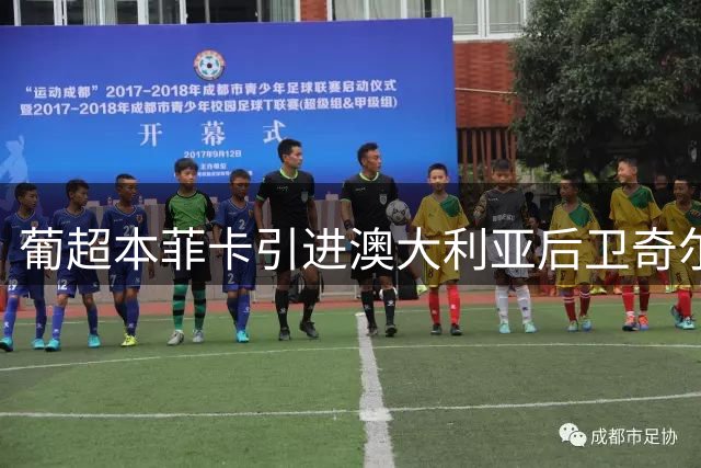 葡超本菲卡引进澳大利亚后卫奇尔卡蒂